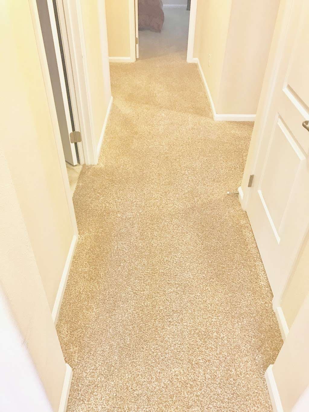 MacDonald Carpet Cleaning | 36288 Waxen Rd, Lake Elsinore, CA 92532, USA | Phone: (908) 380-0279