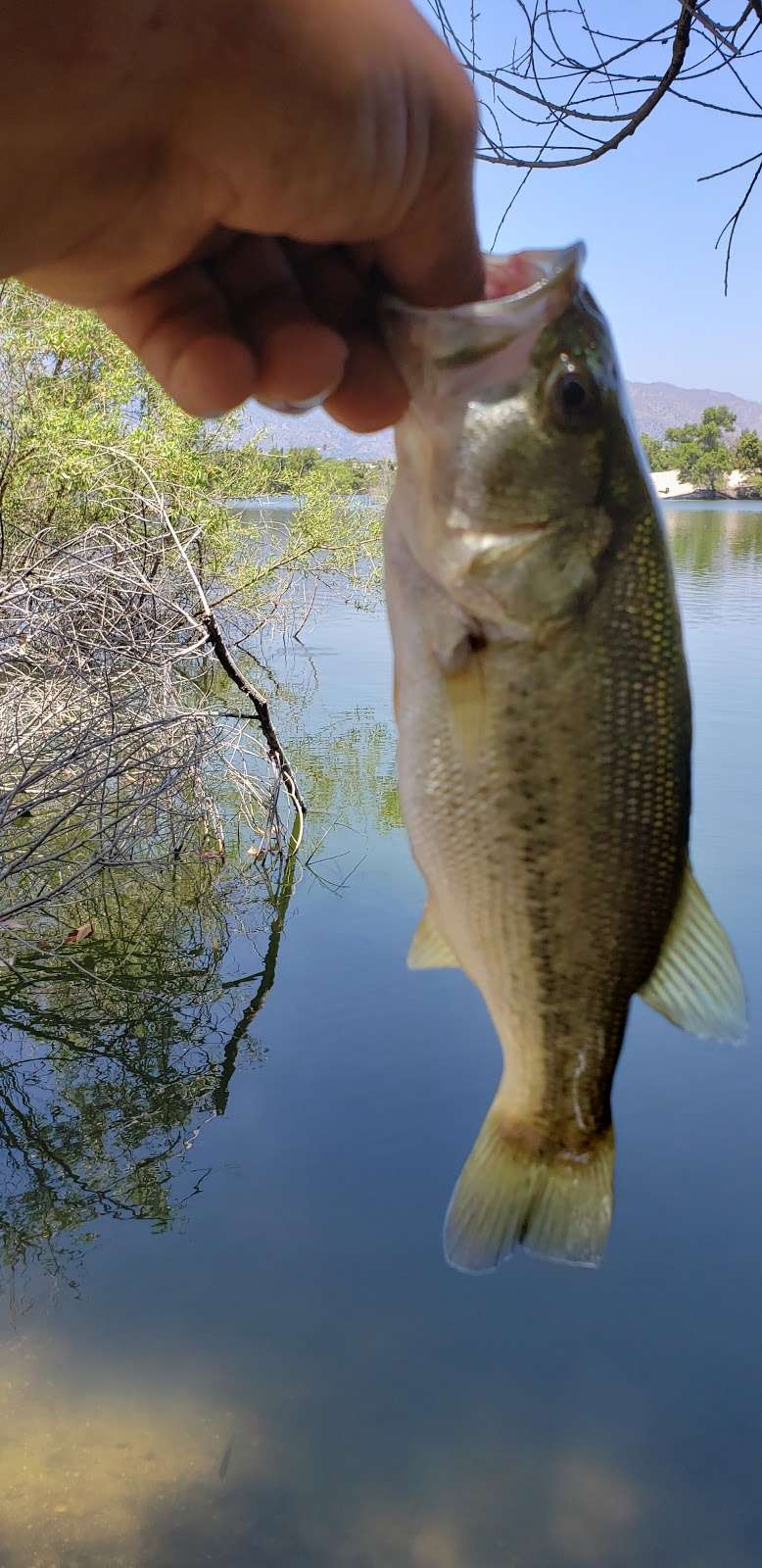 Mungi Lake | El Monte, CA 91732, USA