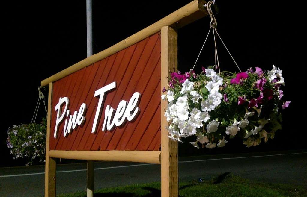 Pine Tree Bungalows | NY-42, Monticello, NY 12701
