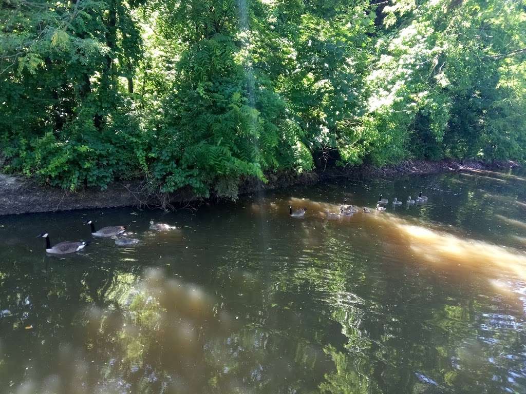 Delaware canal towpath | Yardley, PA 19067, USA