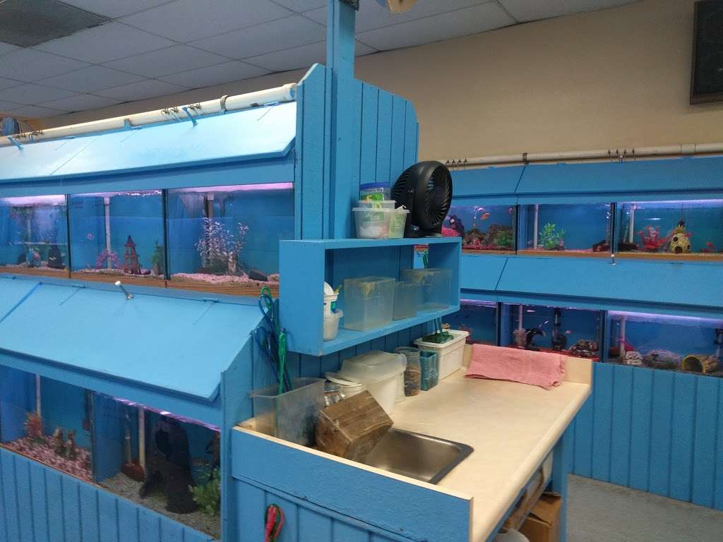 Fontana Tropical Fish & Pets | 9830 Sierra Ave, Fontana, CA 92335, USA | Phone: (909) 829-0211