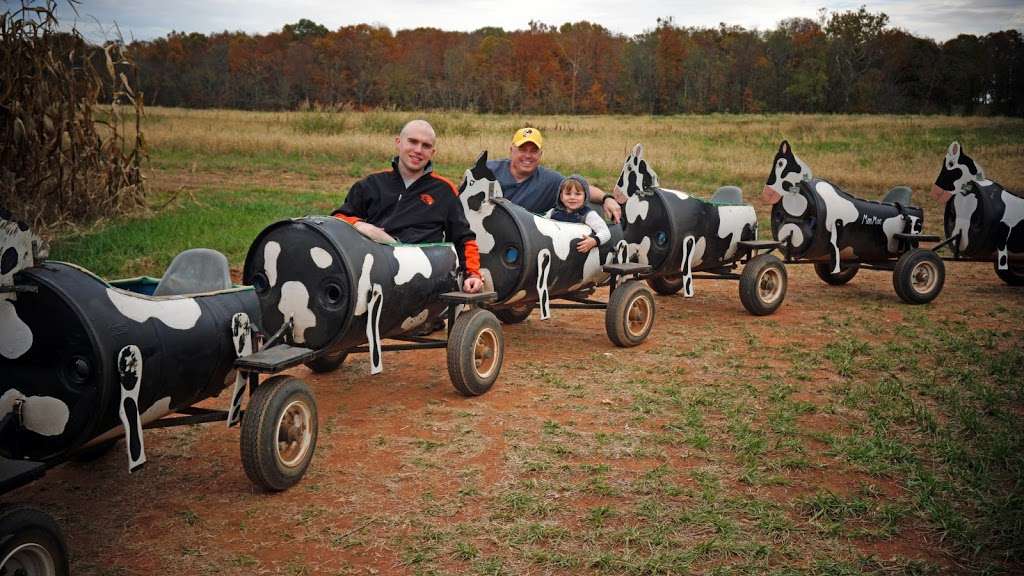 Temple Hall Fall Festival & Corn Maize | 15855 Limestone School Rd, Leesburg, VA 20176, USA | Phone: (703) 779-9372