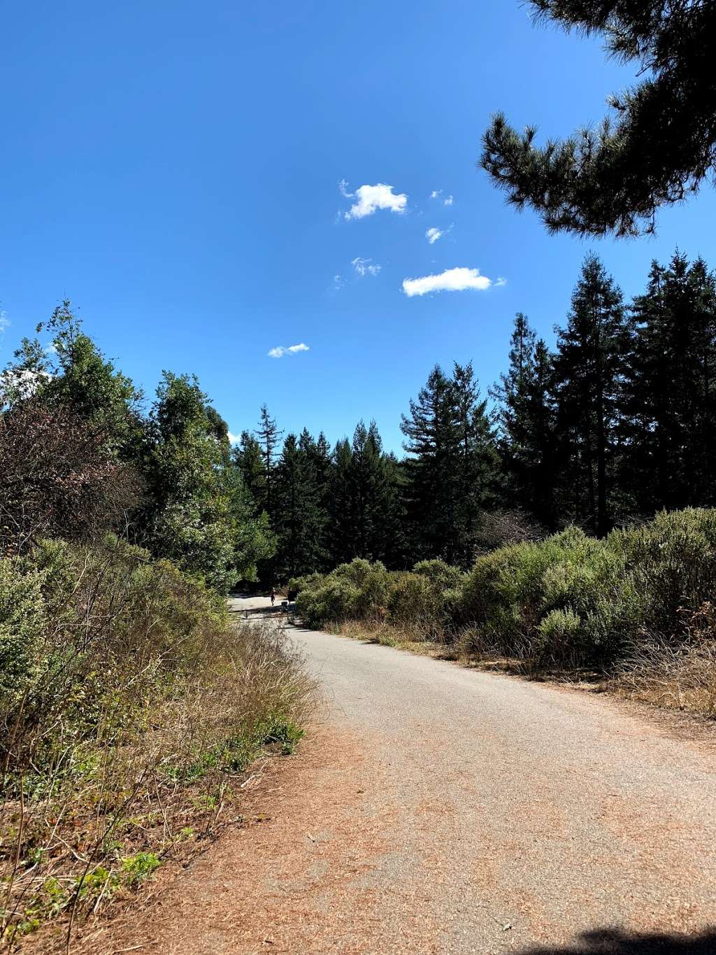 Seaview Trailhead | Seaview Trail, Orinda, CA 94563, USA