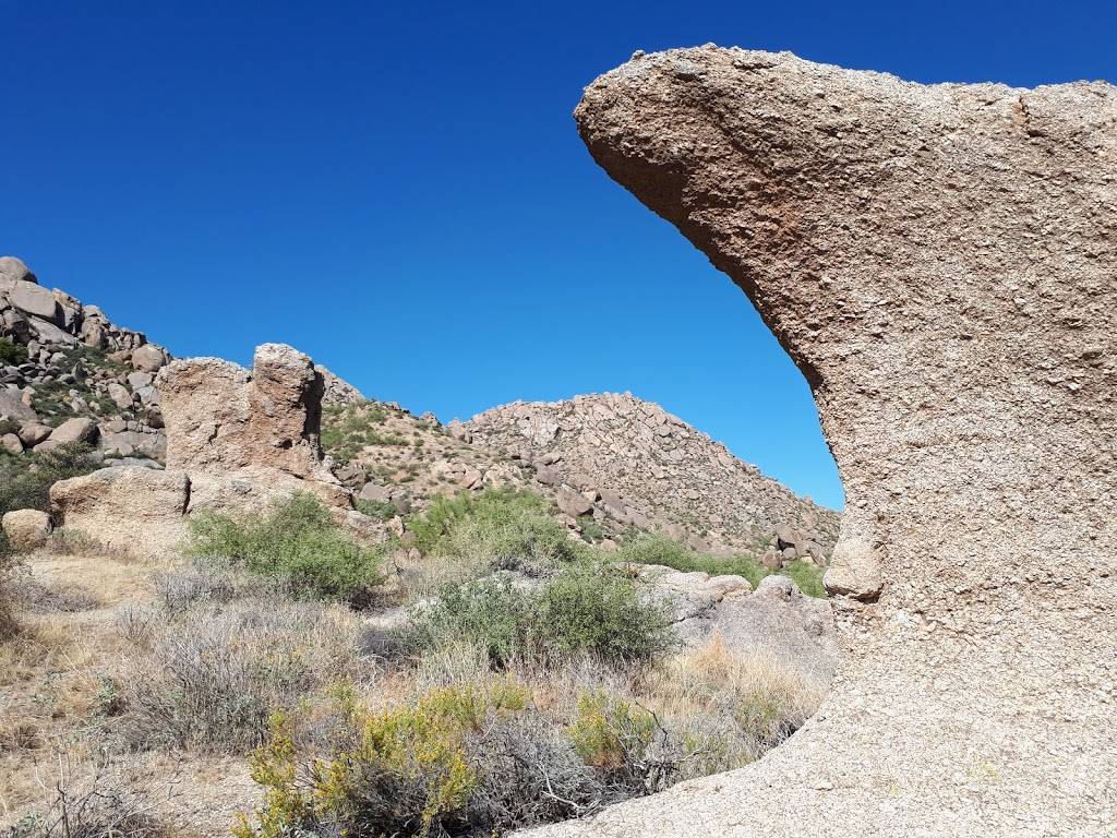 East and Trail Trailhead | Mesquite Canyon Trail, Scottsdale, AZ 85255, USA | Phone: (480) 998-7971