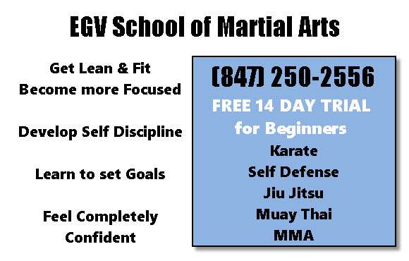 EGV School of Martial Arts | 611 Landmeier Rd #1122, Elk Grove Village, IL 60009, USA | Phone: (847) 250-2556