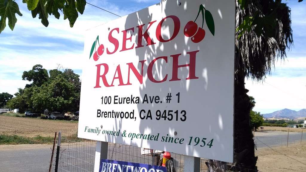 Seko Ranch | 600 Eureka Ave, Brentwood, CA 94513, USA | Phone: (925) 634-3771