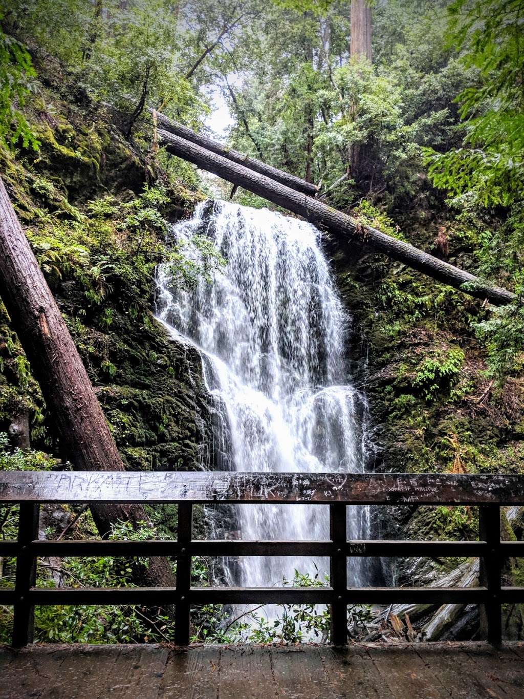 West Waddell Creek State Wilderness | Davenport, CA 95017