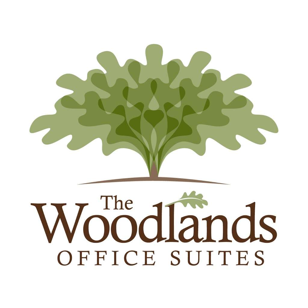 The Woodlands Office Suites | 1095 Evergreen Cir #200, The Woodlands, TX 77380, USA | Phone: (281) 210-0005