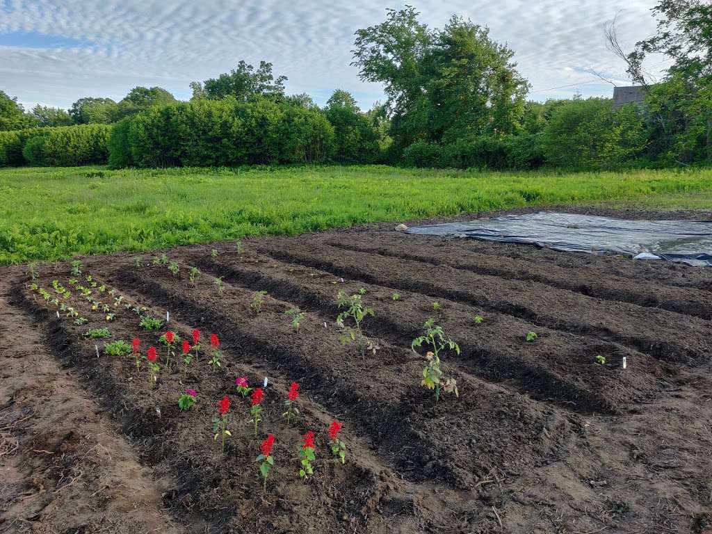 Mendon Community Garden | 125 North Ave, Mendon, MA 01756