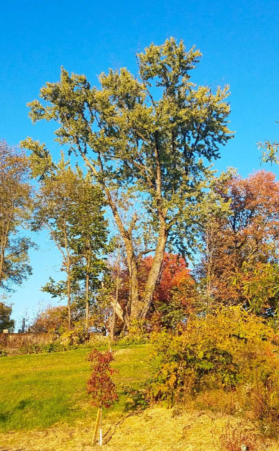 Lackawanna River Heritage Trailhead | 30 Enterprise Dr, Carbondale, PA 18407, USA