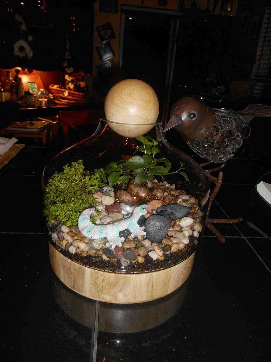 Florida Terrariums | 4430 NW 61st Pl, Coconut Creek, FL 33073 | Phone: (561) 305-4722