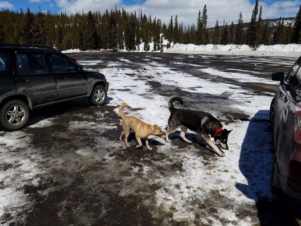 Corona Parking Lot | 80103 US-40, Winter Park, CO 80482, USA