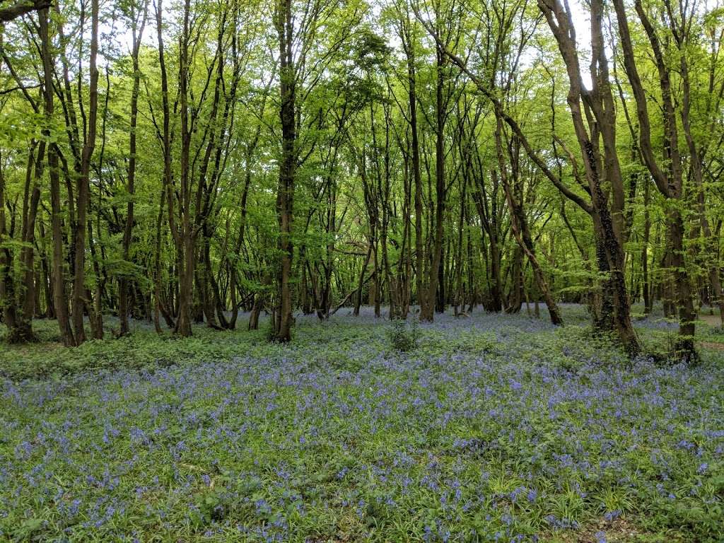 Sandridge Scout Hut | Sandridgebury Ln, Sandridge, St Albans AL3 6JB, UK