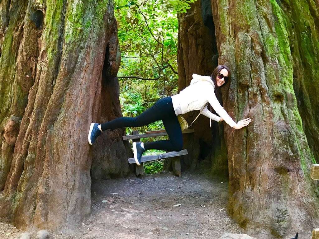 Muir Woods Tours & Adventures | 1806 Belles St suite 5B, San Francisco, CA 94129, USA | Phone: (415) 831-4157