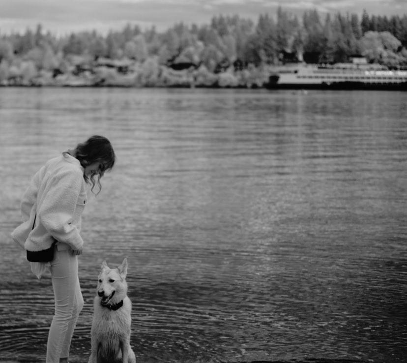 Pritchard Park | Eagle Harbor Dr NE, Bainbridge Island, WA 98110, USA | Phone: (206) 842-2306