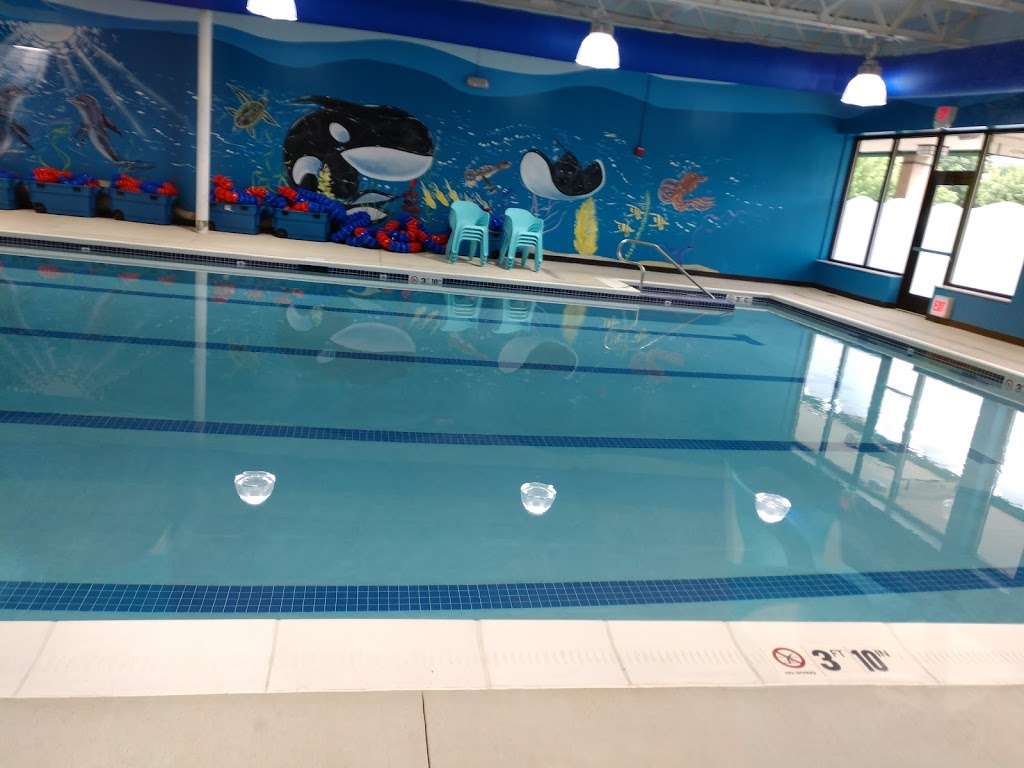 Goldfish Swim School - Park Ridge | 678 N Northwest Hwy, Park Ridge, IL 60068 | Phone: (224) 479-1414