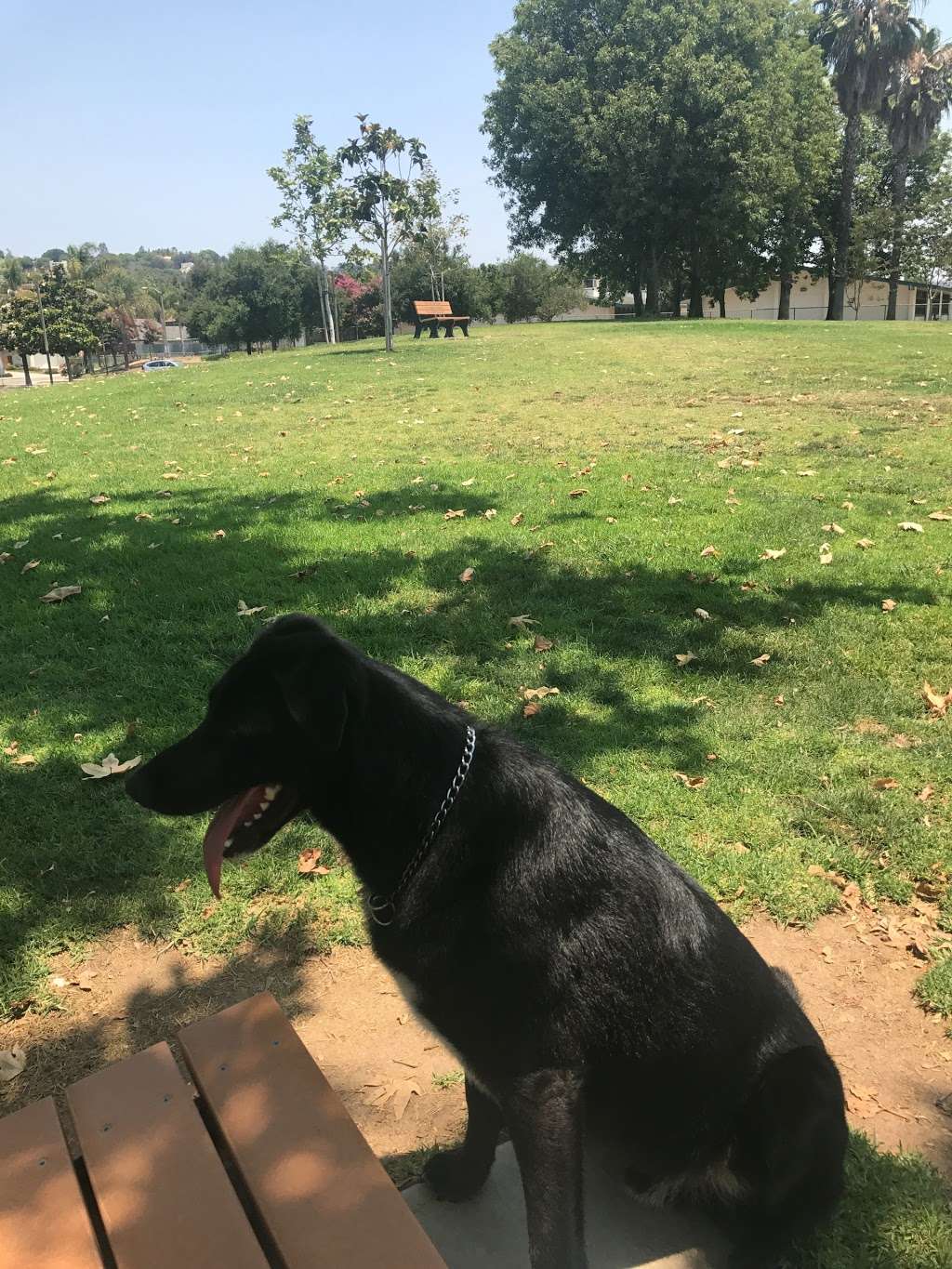 Mission Oaks Dog Park | 5590-5686 Fieldcrest Dr, Camarillo, CA 93012, USA