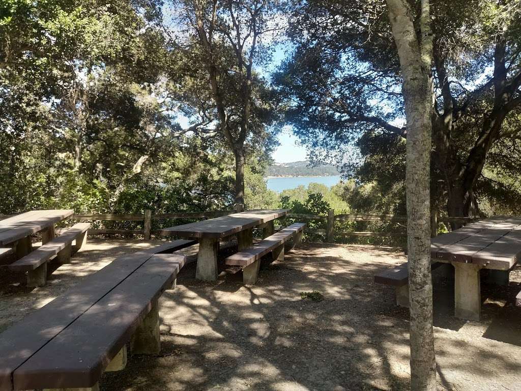 San Pablo Reservoir Oaks Picnic Area | 7301 San Pablo Dam Rd, El Sobrante, CA 94803, USA | Phone: (510) 223-1661