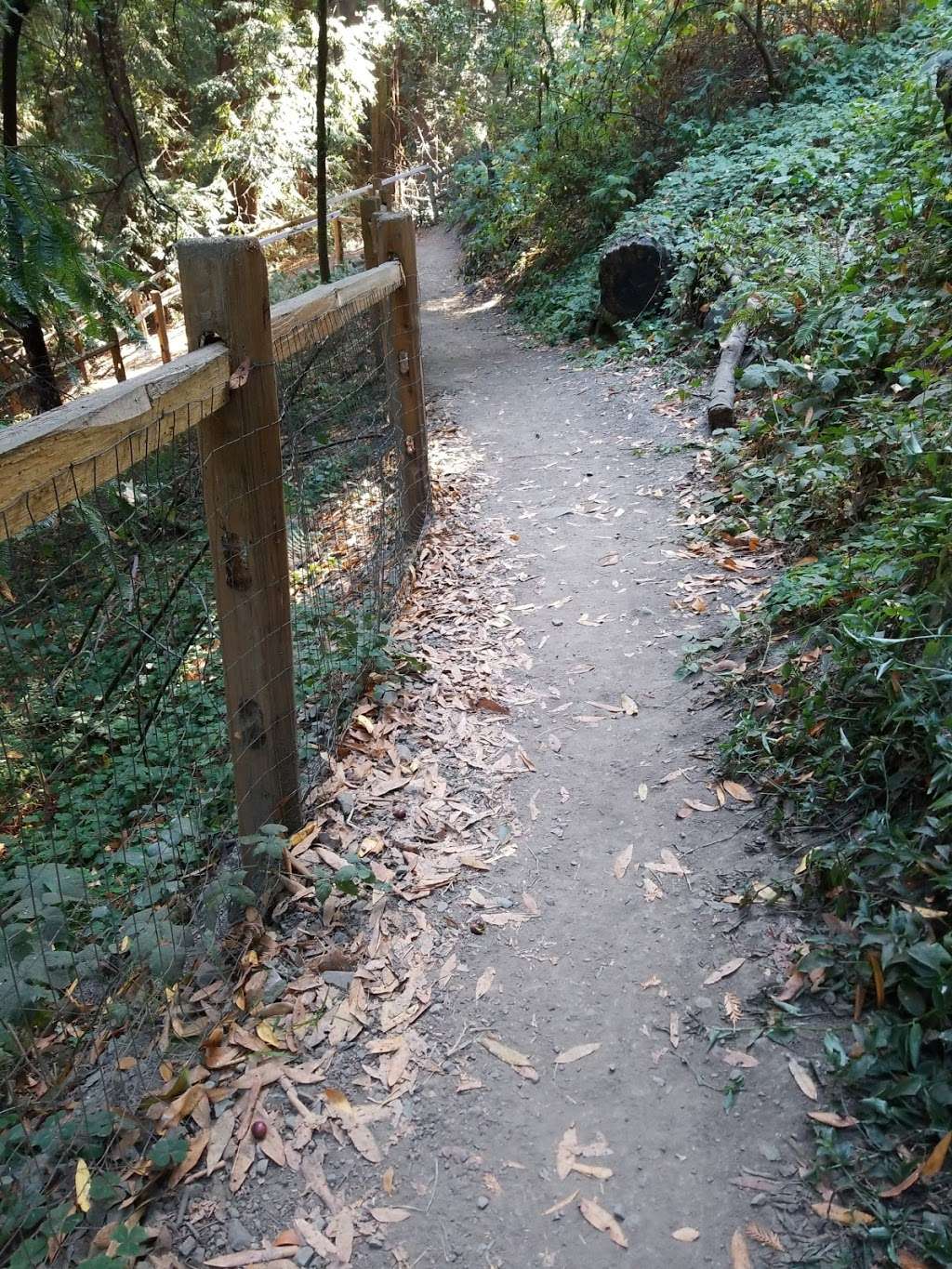 Bridgeview Trail at Monterey Blvd | 37°4903. 122°1216., 9 4th St, Oakland, CA 94607, USA