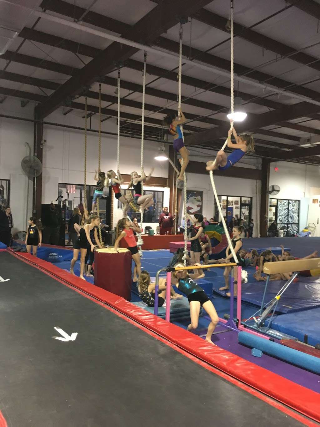 All American Gymnastics | 323 Business Ln, Ashland, VA 23005, USA | Phone: (804) 239-4530