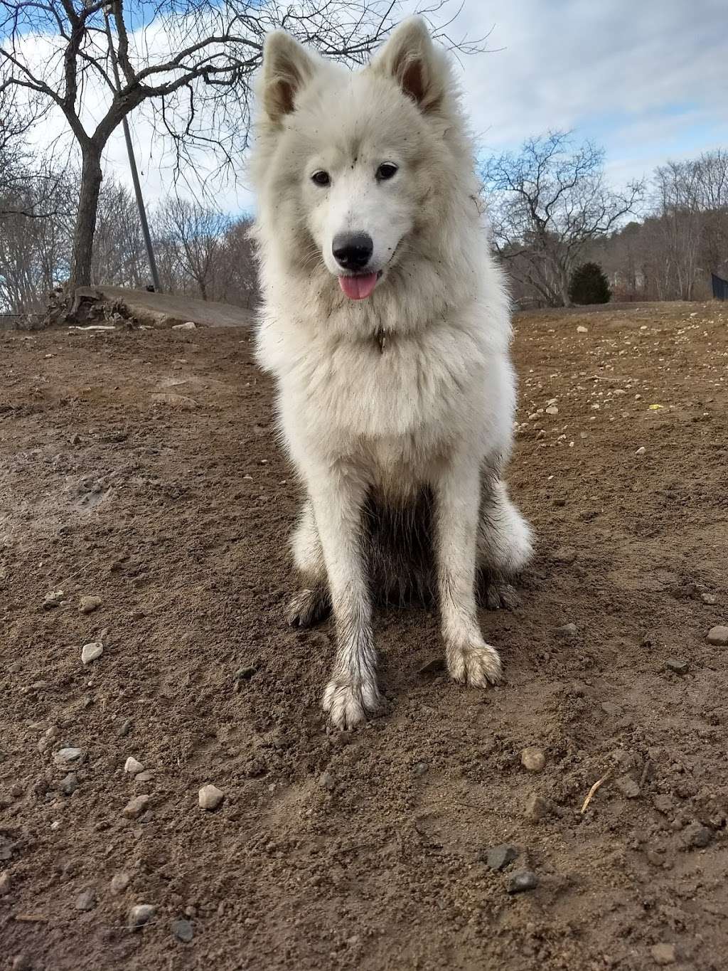 Gloucester Dog Park | GLOU, 216-140, Gloucester, MA 01930, USA