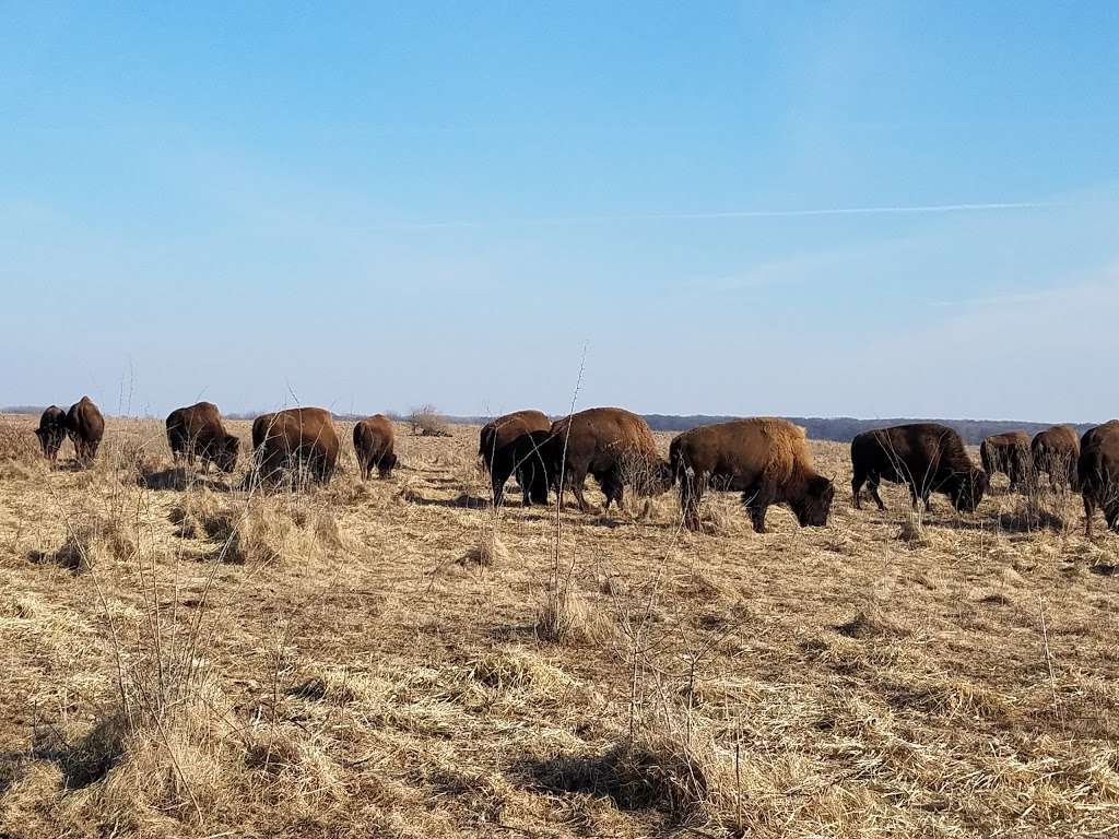 Midewin National Tallgrass Prairie | 30239 IL-53, Wilmington, IL 60481, USA | Phone: (815) 423-6370