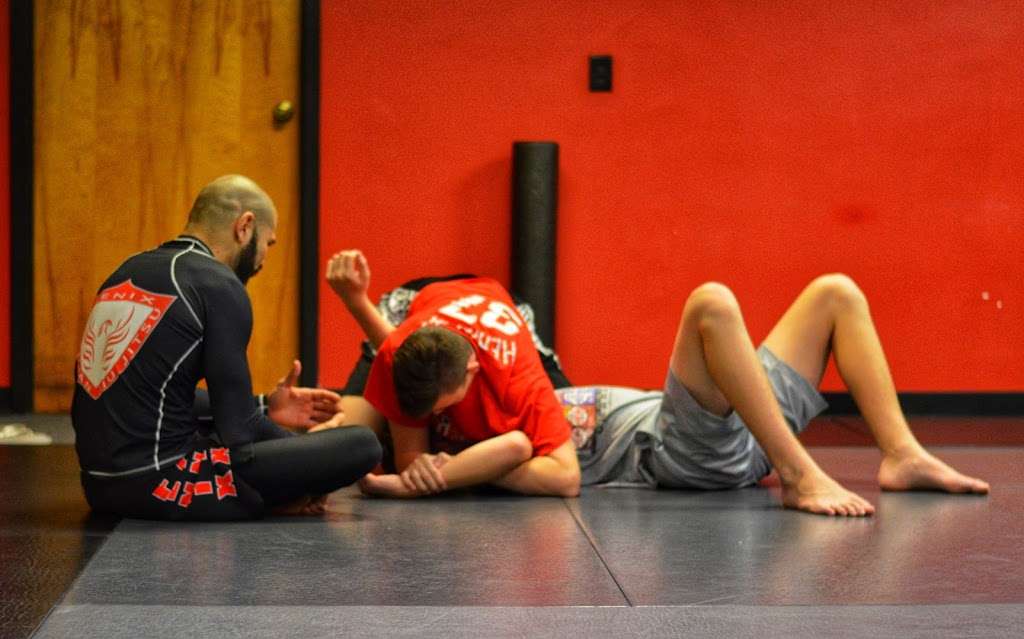 Fenix Brazilian Jiu Jitsu | 911 Main St, Woburn, MA 01801, USA | Phone: (617) 694-8633