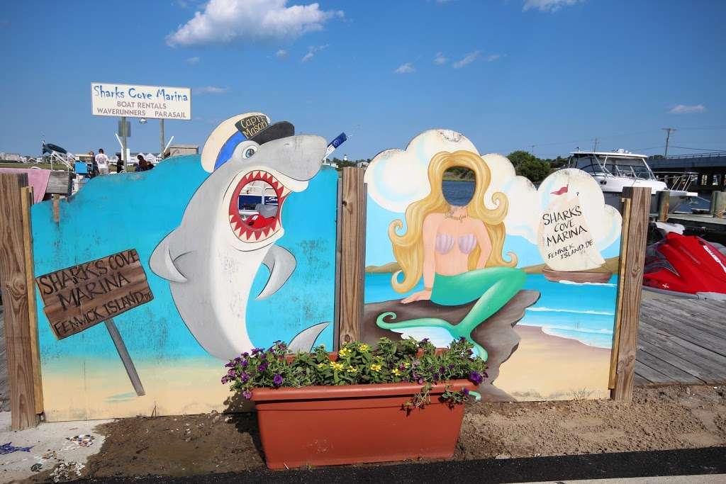 Sharks Cove Marina | 38931 Madison Ave, Fenwick Island, Selbyville, DE 19975, USA | Phone: (302) 436-8500