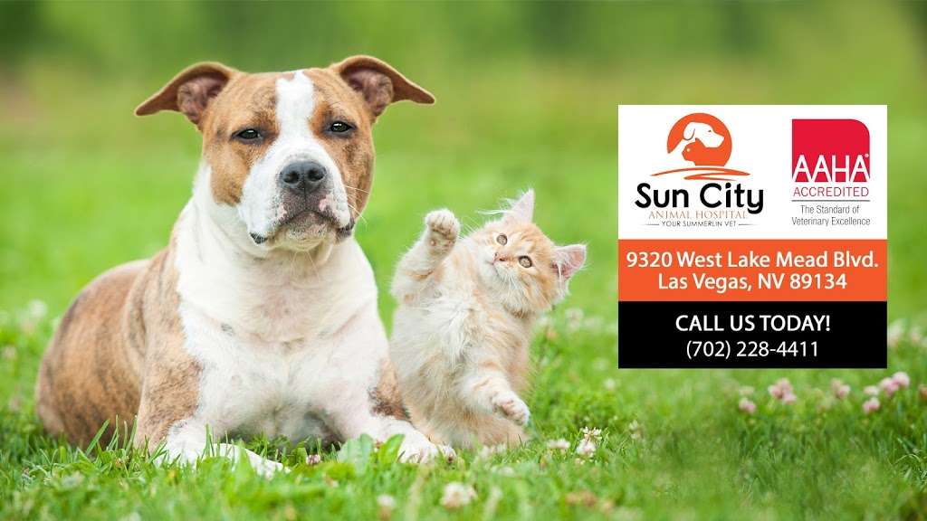 Sun City Animal Hospital | 9320 W Lake Mead Blvd, Las Vegas, NV 89134, USA | Phone: (702) 228-4411