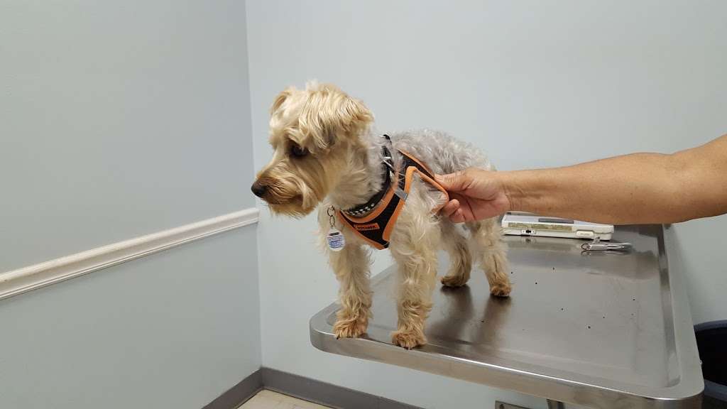 Osceola Animal Clinic 3223 S John Young Pkwy, Kissimmee, FL 34746