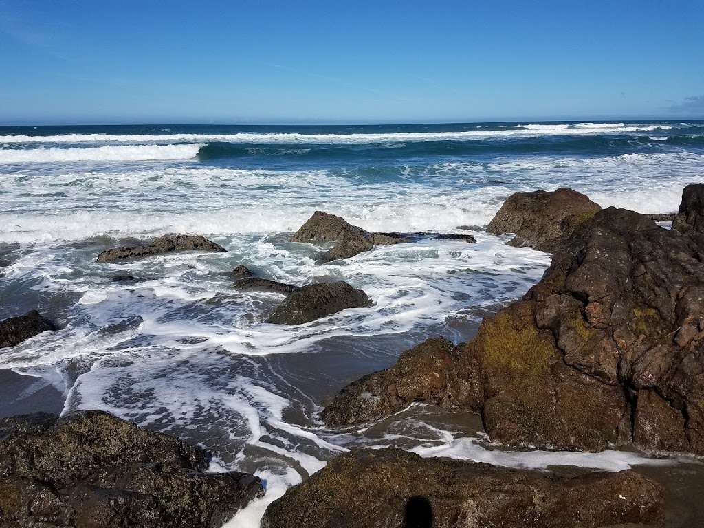 North Salmon Creek Beach | 3095 CA-1, Bodega Bay, CA 94923, USA | Phone: (707) 875-3483