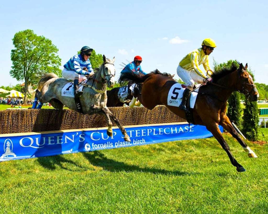 Queens Cup Steeplechase | 6103 Waxhaw Hwy, Mineral Springs, NC 28108, USA | Phone: (704) 843-7070