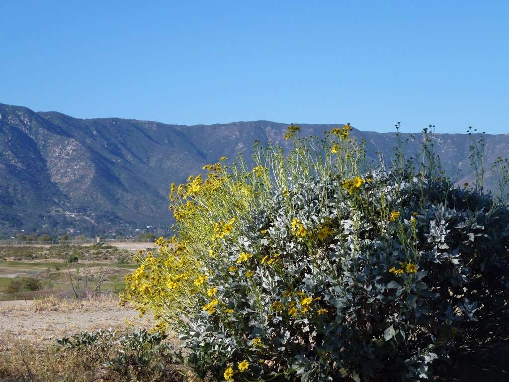 Lake Elsinore Levee | Diamond Dr, Wildomar, CA 92595, USA