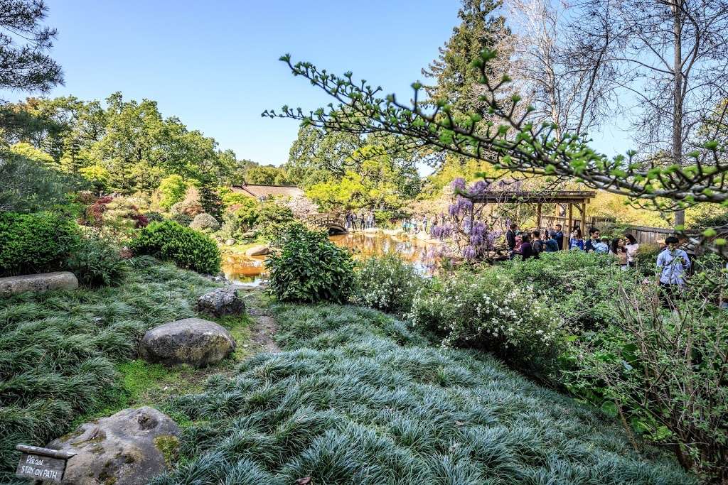 Hakone Estate and Gardens | 21000 Big Basin Way, Saratoga, CA 95070, USA | Phone: (408) 741-4994