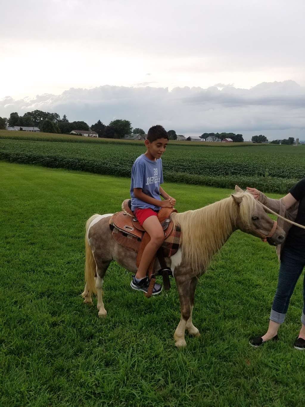 Buggy rides at Antique Barn | 3509669900000, Bird in Hand, PA 17505, USA | Phone: (717) 371-0876