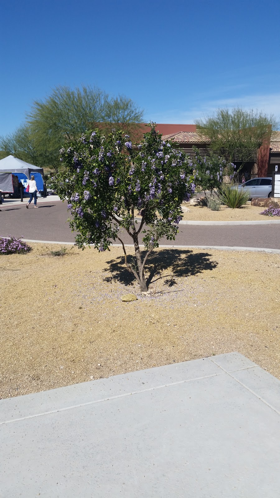 Desert View Bible Church | 105 W Carefree Hwy, Phoenix, AZ 85086, USA | Phone: (480) 423-4888