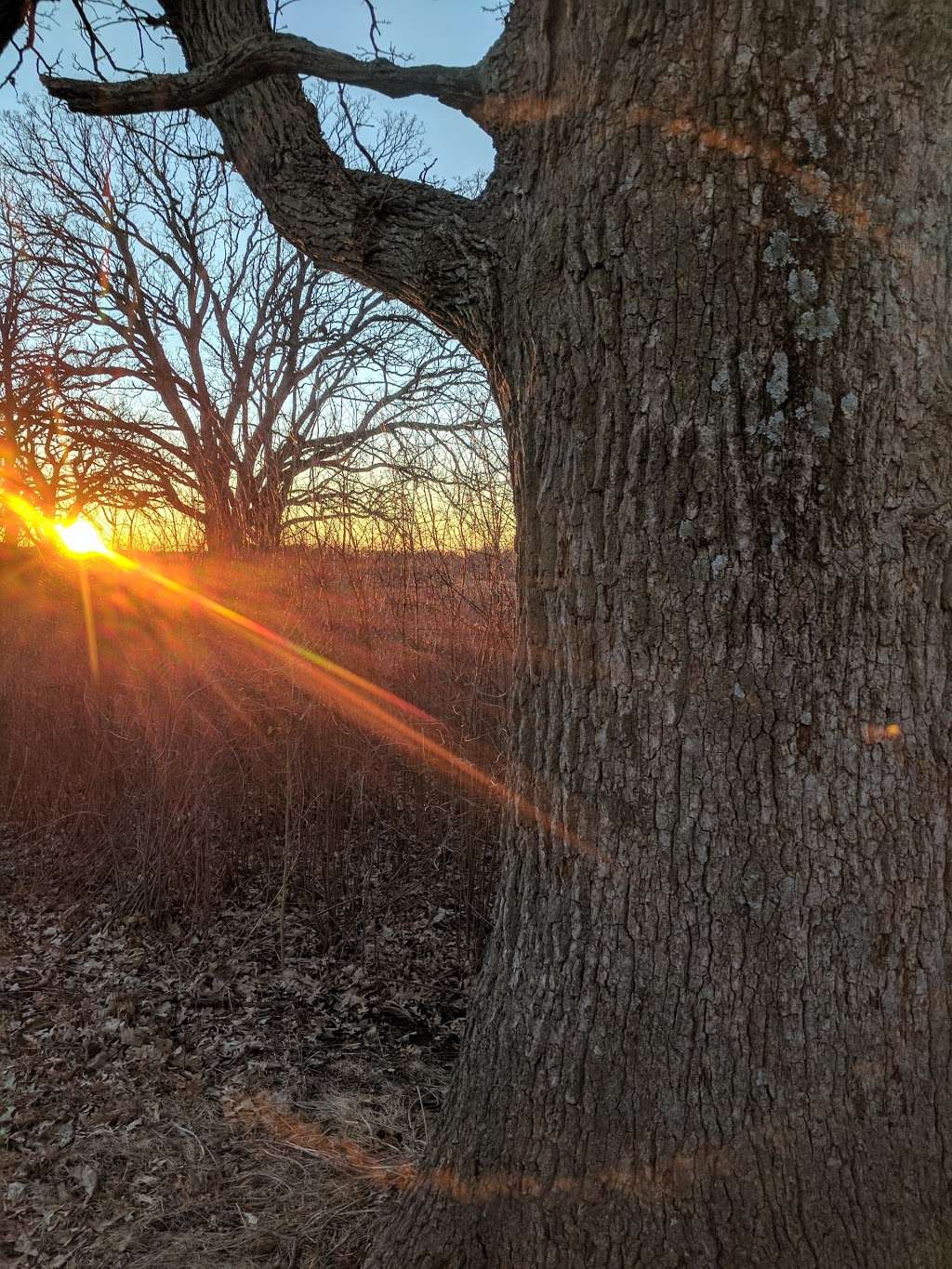 Kettle Moraine Low Prairie State Natural Area | Stark Rd, Eagle, WI 53119, USA | Phone: (608) 266-0394