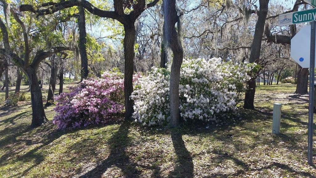 Azalea Park | 1475 East Ave, Clermont, FL 34711, USA