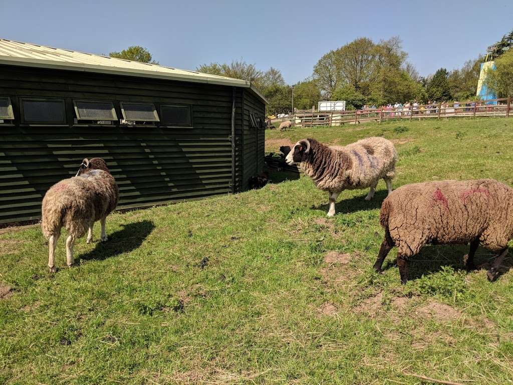 Lambourne End Centre for Outdoor Learning | Manor Rd, Lambourne End RM4 1NB, UK | Phone: 020 8500 3047