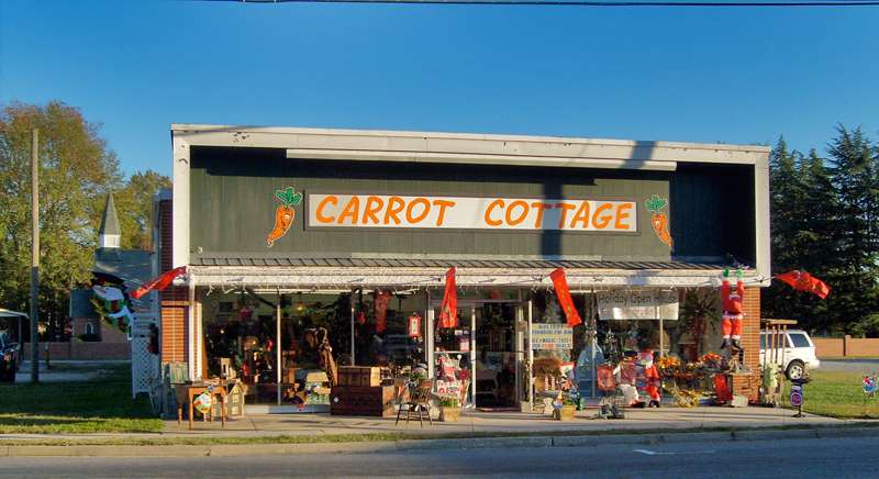 Carrot Cottage Inc | 15804 Kings Hwy, Montross, VA 22520, USA | Phone: (804) 493-1320