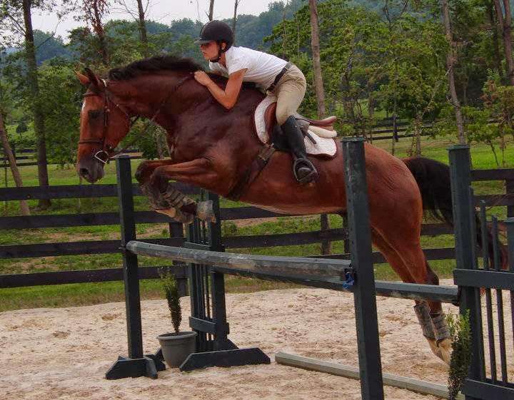 Tupelo Stables | US-17, Delaplane, VA 20144, USA | Phone: (540) 809-9674