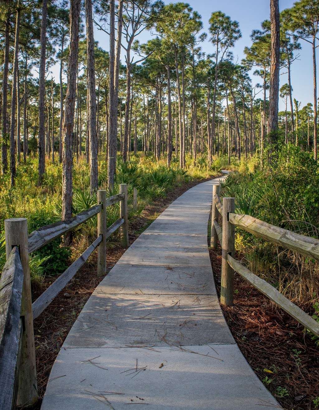 Limestone Creek Natural Area | 6570 Church St, Jupiter, FL 33458, USA