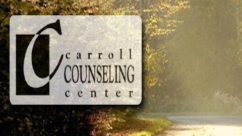 Carroll Counseling Center, LLC | 1380 Progress Way #101, Eldersburg, MD 21784, USA | Phone: (410) 549-5181
