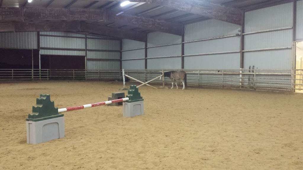 Dawson Equestrian Center | 19510 E Hwy 6, Alvin, TX 77511, USA | Phone: (281) 309-2946