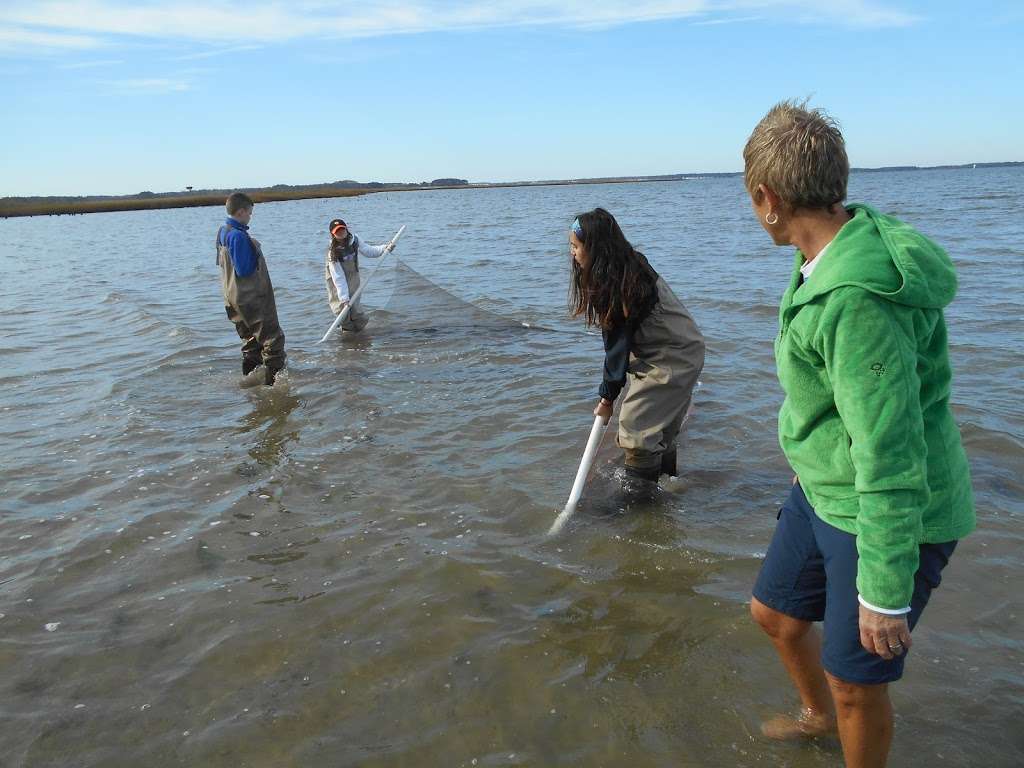 James Farm Ecological Preserve | 30048 Cedar Neck Rd, Ocean View, DE 19970, USA | Phone: (302) 226-8105