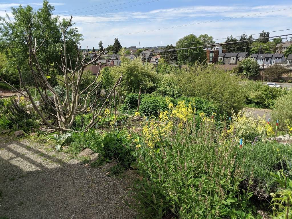 Beacon Food Forest P-Patch Community Gardens | 16th Ave S, Seattle, WA 98108, USA | Phone: (206) 684-2489