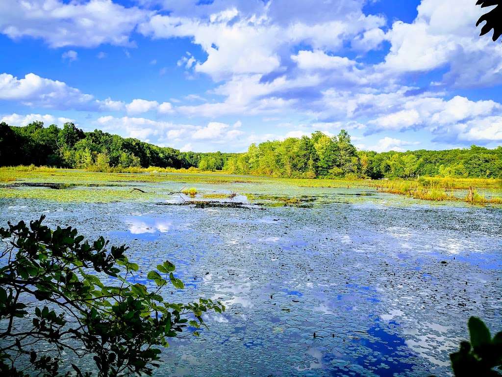 California Hill State Forest, Carmel Hamlet, NY 10512, USA