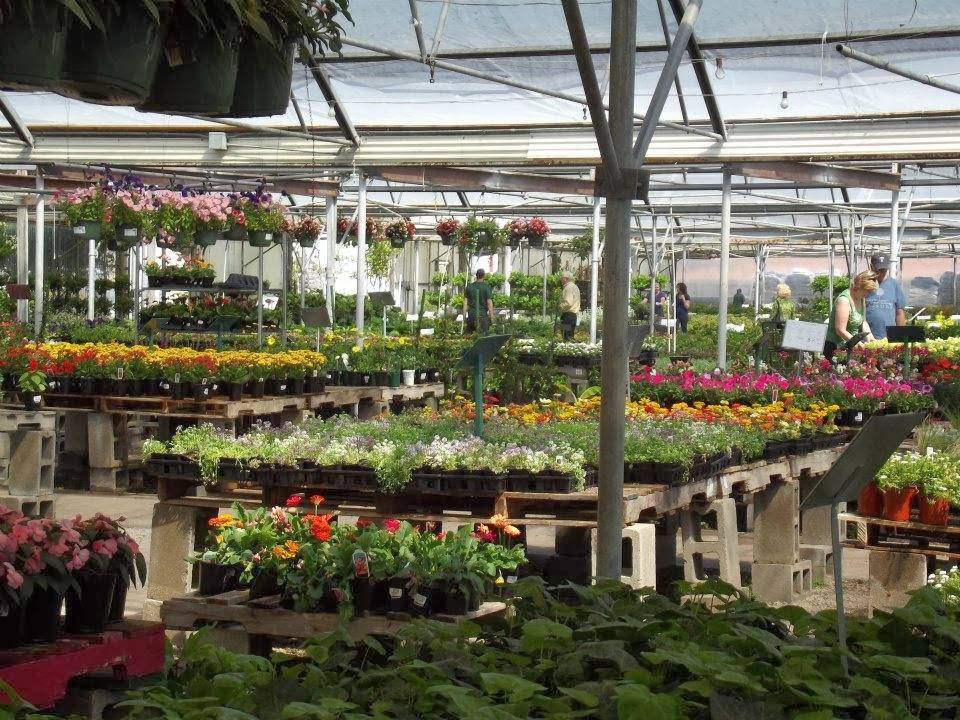 Premier Nursery | 5050 US-377, Benbrook, TX 76116, USA | Phone: (817) 244-2109