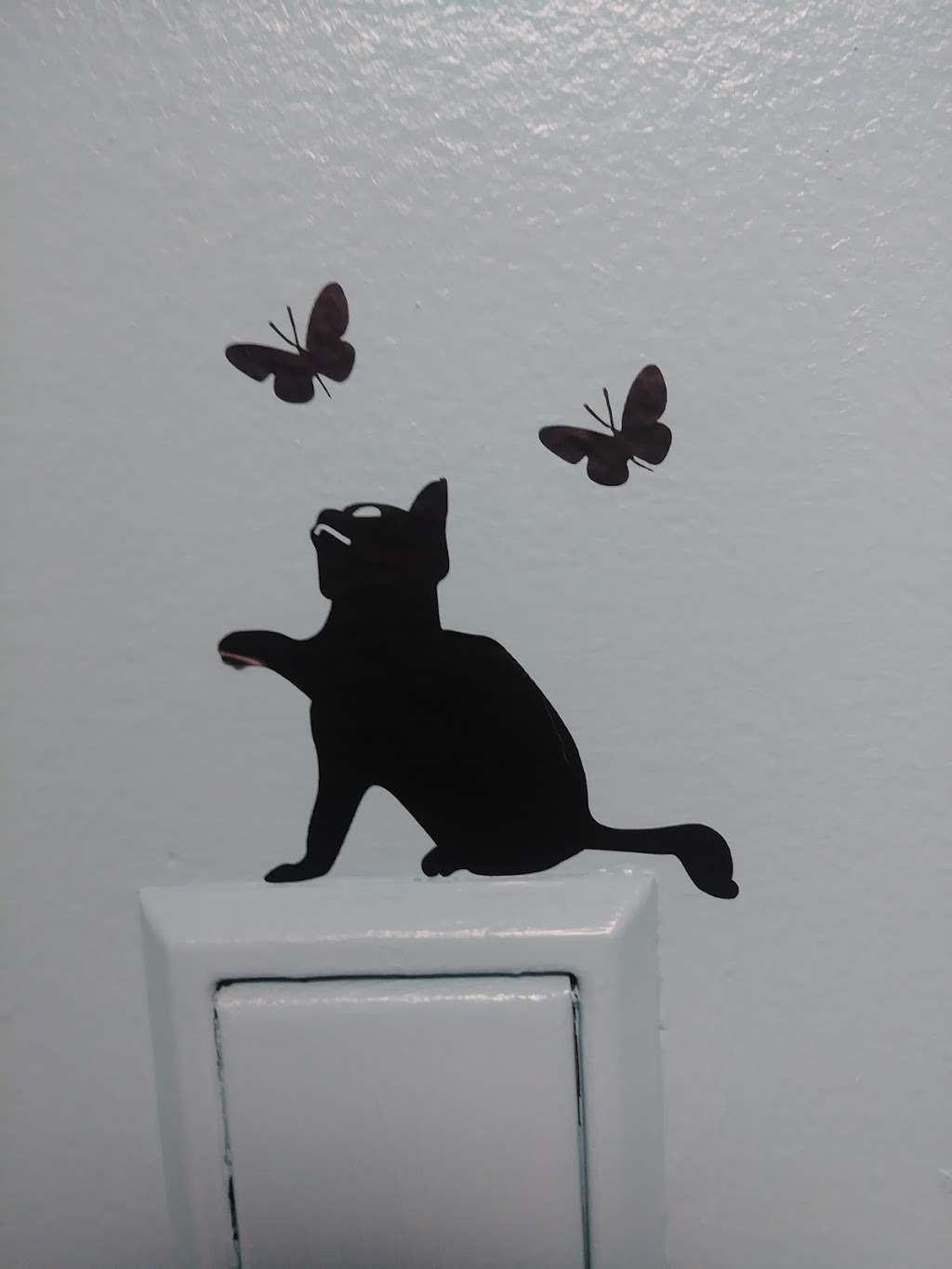 VCA Howell Branch Animal Hospital | 1401 Howell Branch Rd, Winter Park, FL 32789, USA | Phone: (407) 645-0779