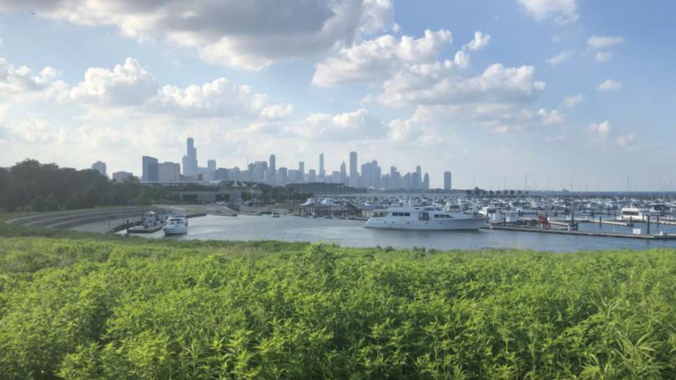 Delightful Private Room at Ellis Place by DivvyTrek | 3615 S Ellis Ave, Chicago, IL 60653, USA | Phone: (650) 889-0304